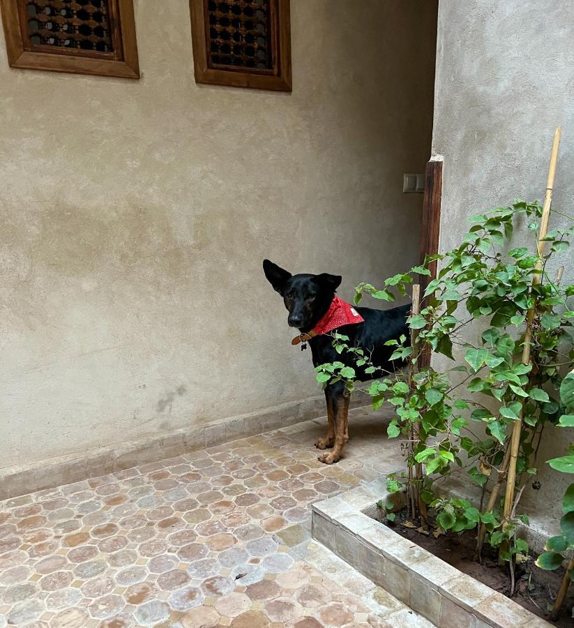 Riad Alena Marrakesh Luaran gambar